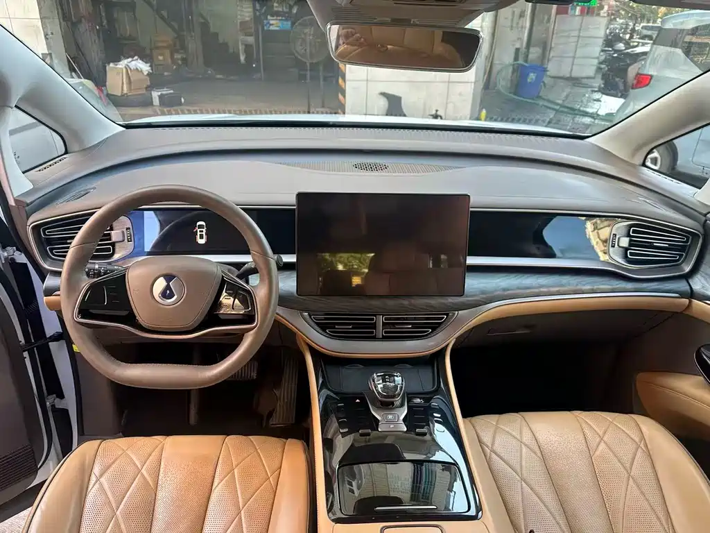 Denza Denza D9 — миниатюра 3