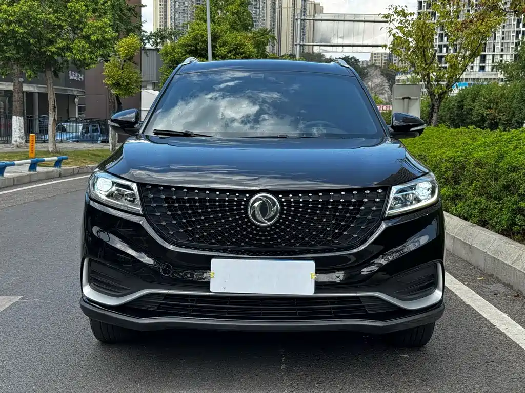 Fengguang Fengguang 580Pro
