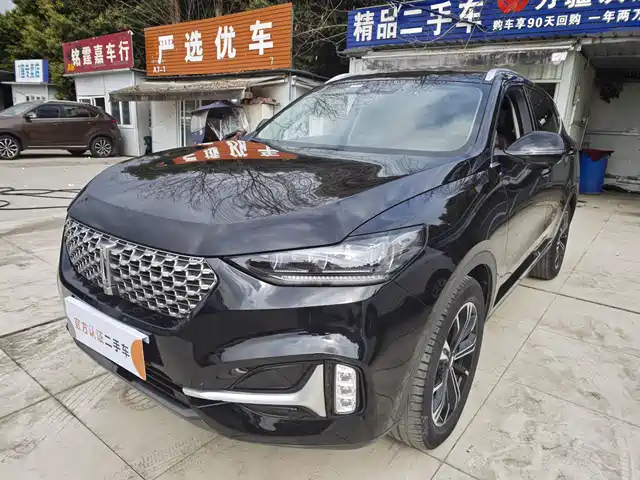 WEI PAI WEI BRAND VV6