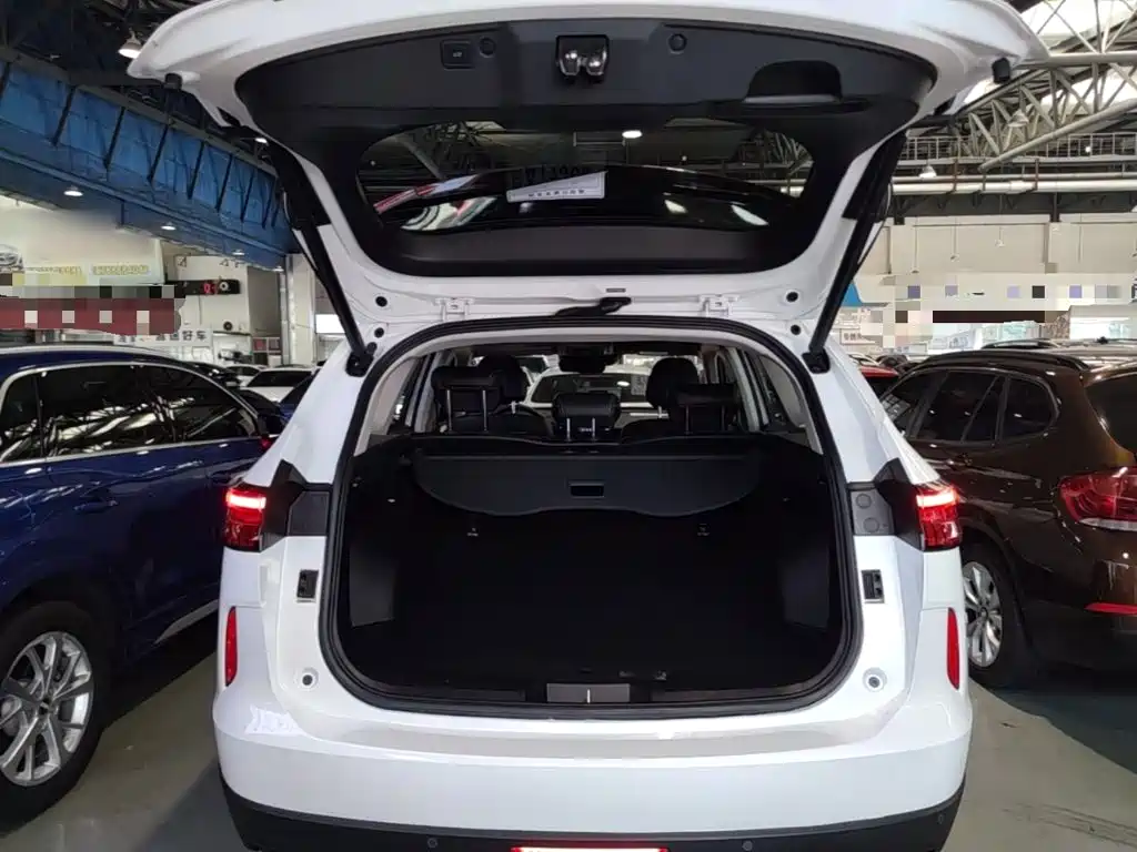 Haval H6 New Energy — миниатюра 19