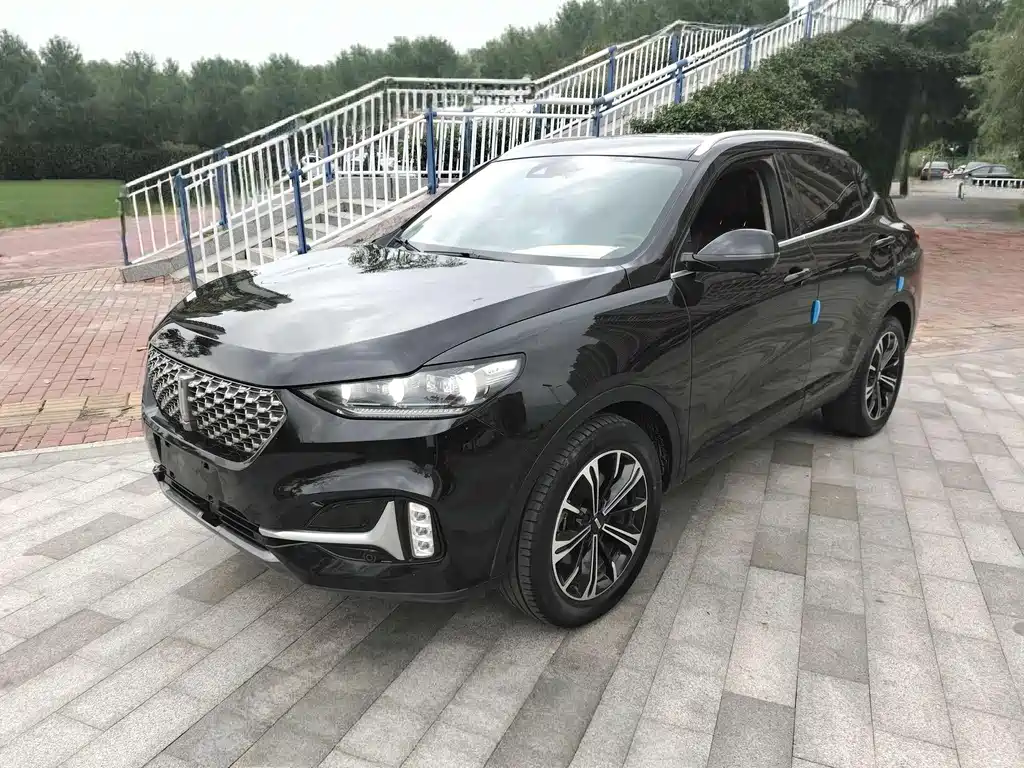 Wey Wey VV6 2020
