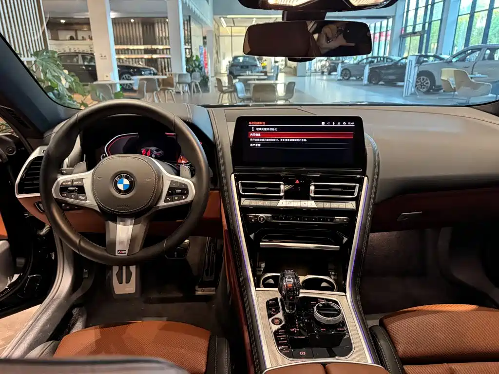 BMW 8 Series — миниатюра 9