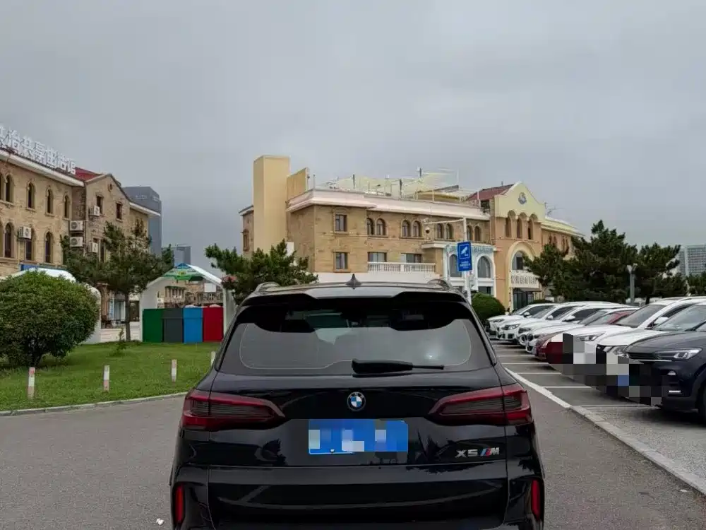 BMW X5 M — миниатюра 5