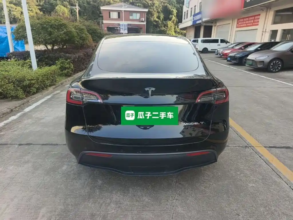 Tesla Model Y — миниатюра 6