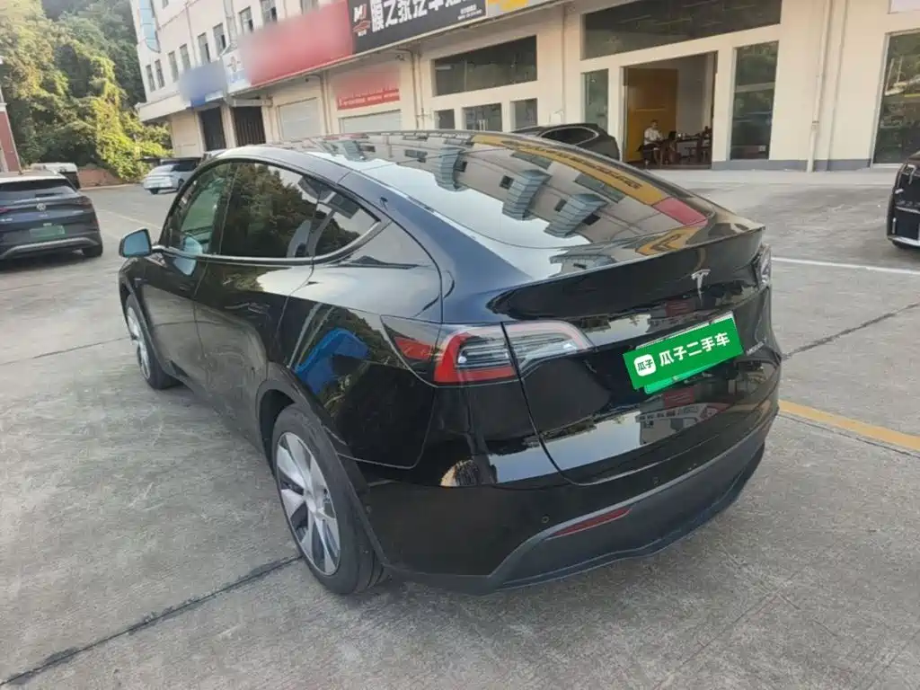 Tesla Model Y — миниатюра 5