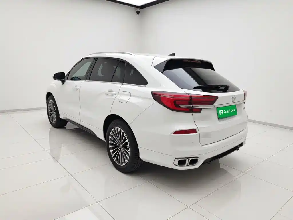 Honda Avancier — миниатюра 4