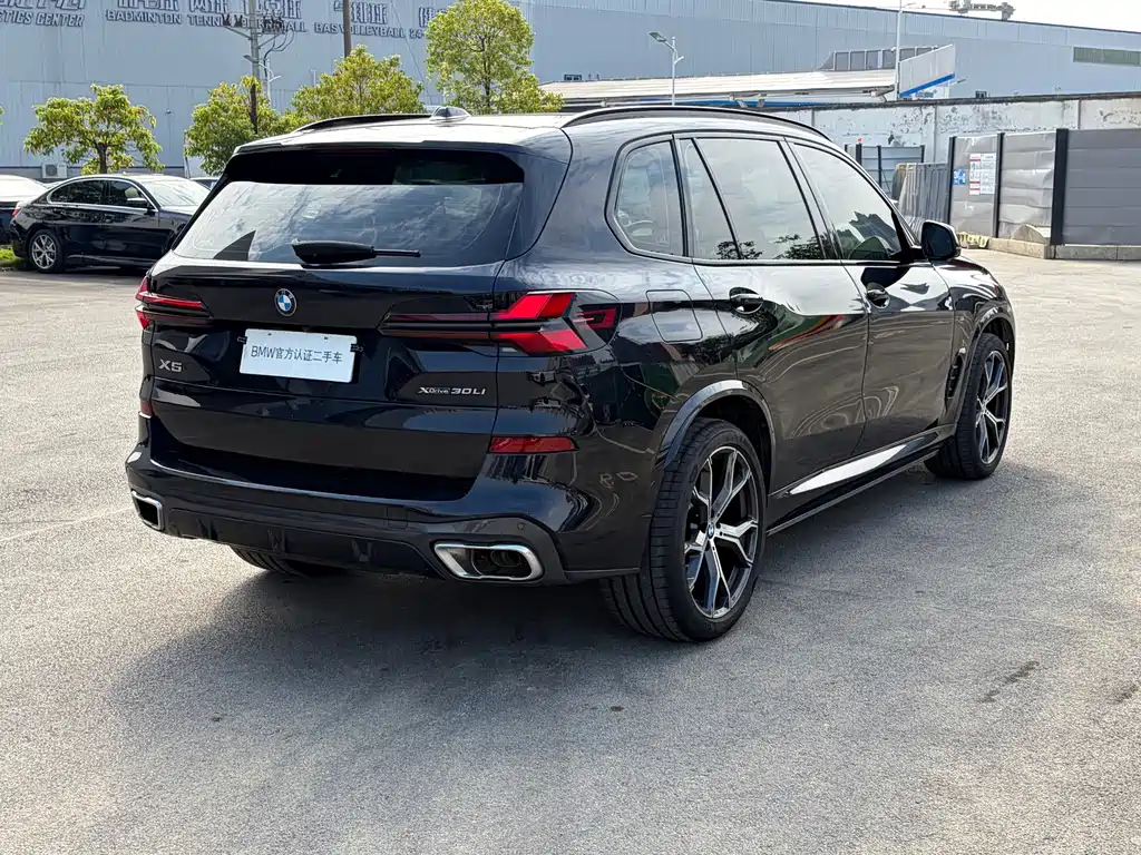 BMW X5 — миниатюра 8