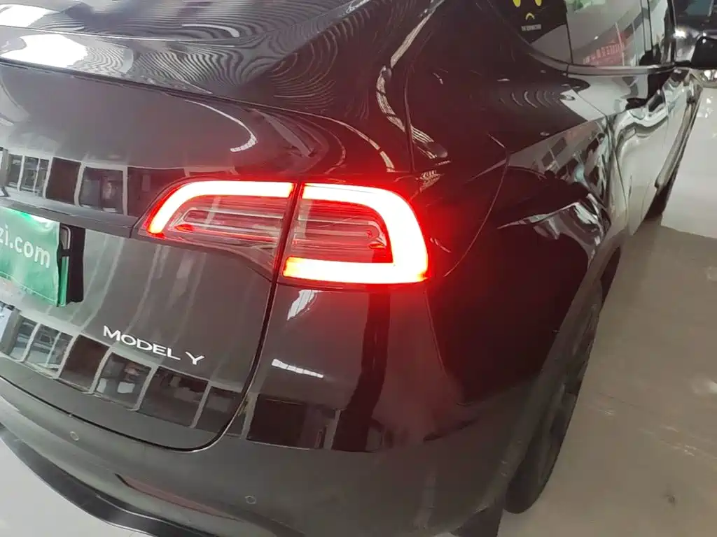 Tesla Model Y — миниатюра 8
