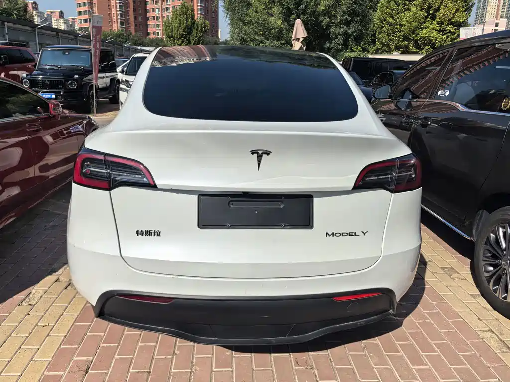 Tesla Model Y — миниатюра 7