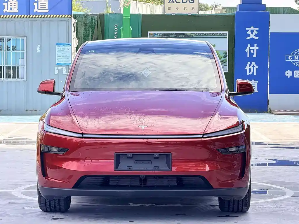 Tesla Model Y — миниатюра 2