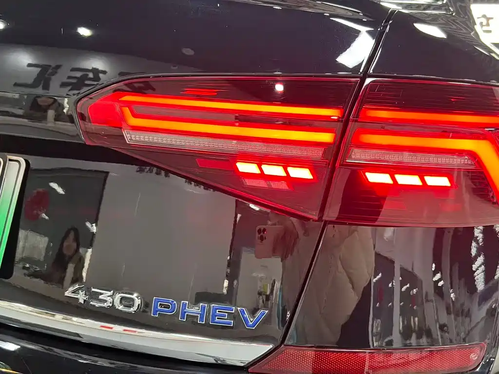 VOLKSWAGEN PASSAT NEW ENERGY