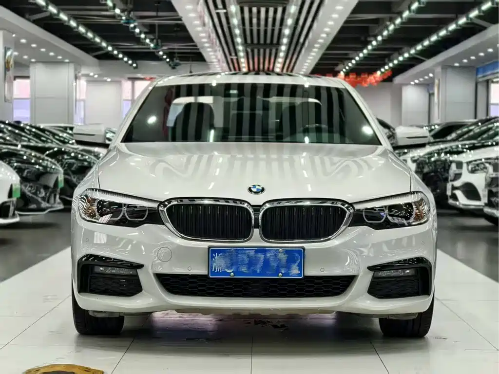 BMW 5 Series 5 2019 525Li M Sport