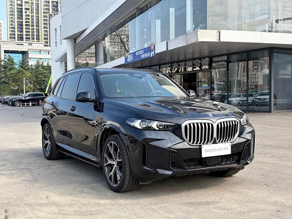 BMW X5 — миниатюра 3
