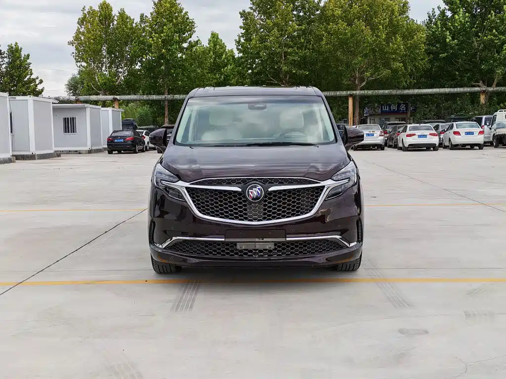 Buick GL8 — миниатюра 3