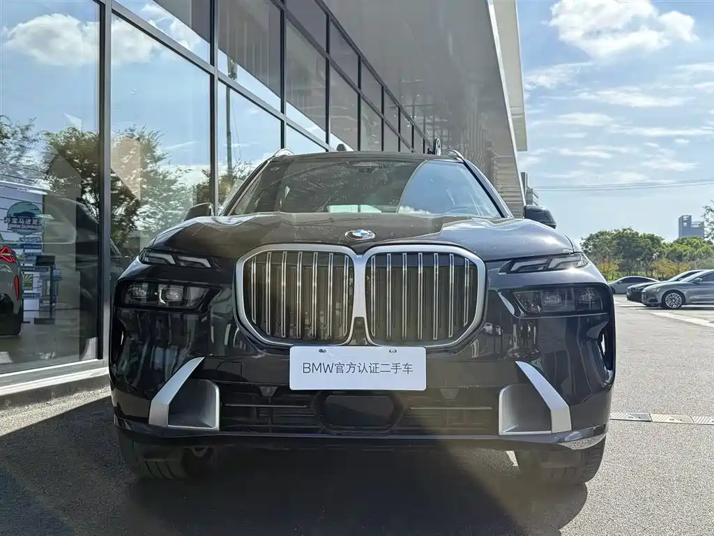 BMW X7 — миниатюра 2