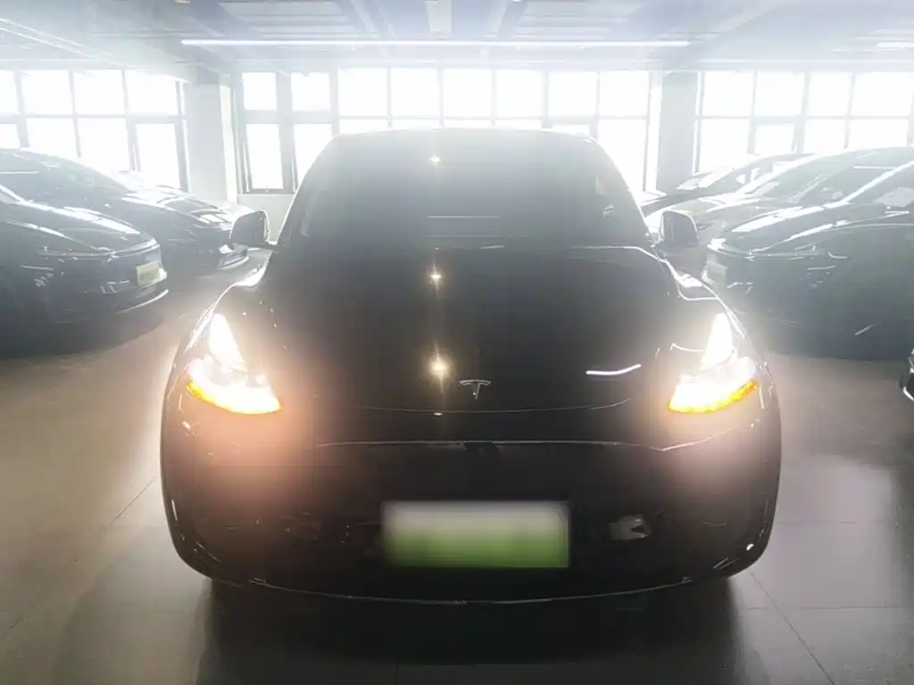 Tesla Model Y — миниатюра 3