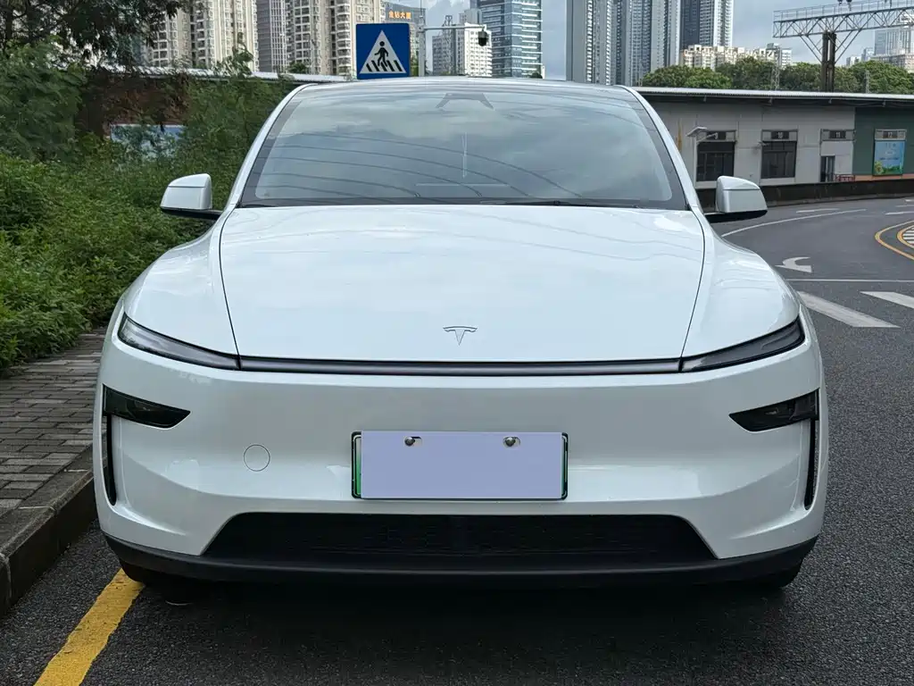 Tesla Model Y — миниатюра 2