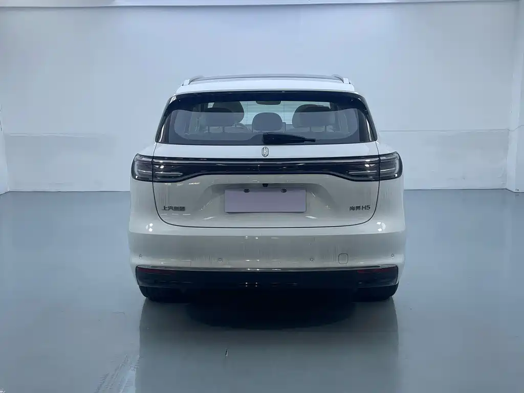 Сангтан Sangtang H5 — миниатюра 16