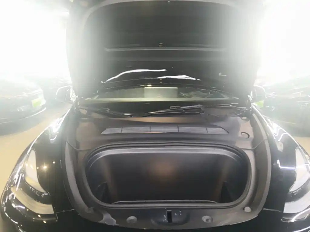 Tesla Model Y — миниатюра 20