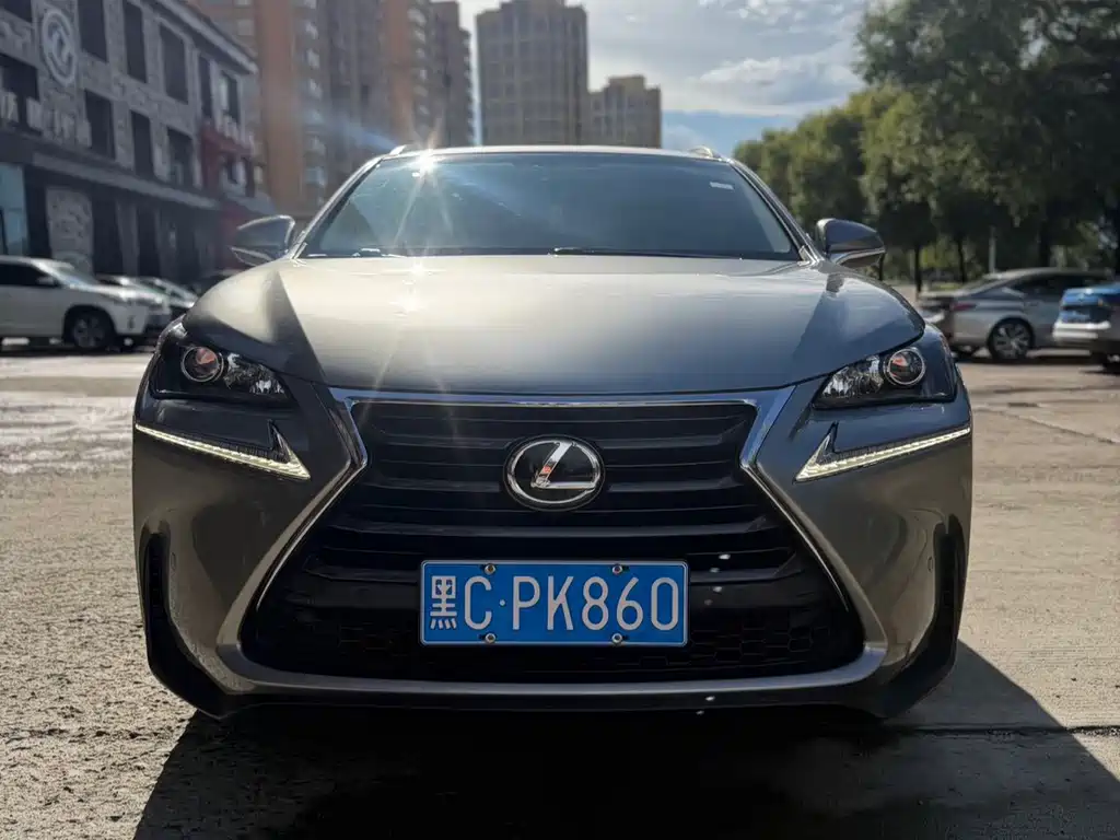 Lexus NX — миниатюра 2