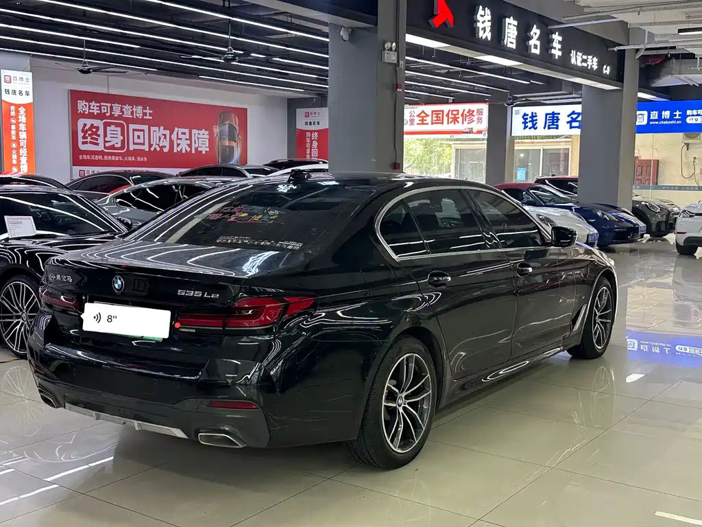 BMW 5 Series New Energy — миниатюра 4
