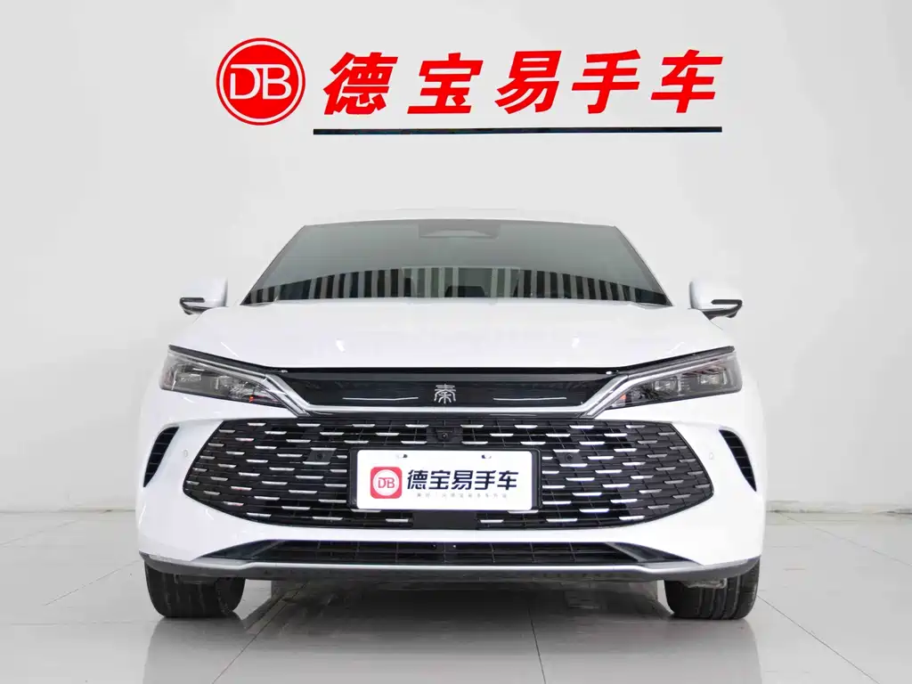 BYD QIN L