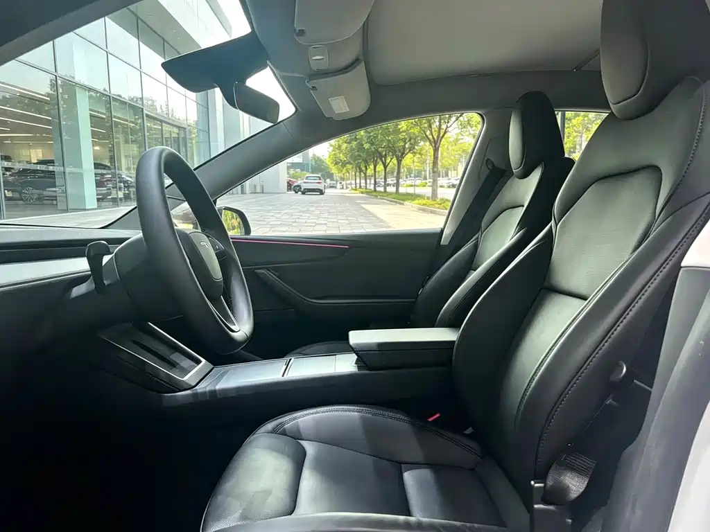 Tesla Model Y — миниатюра 3