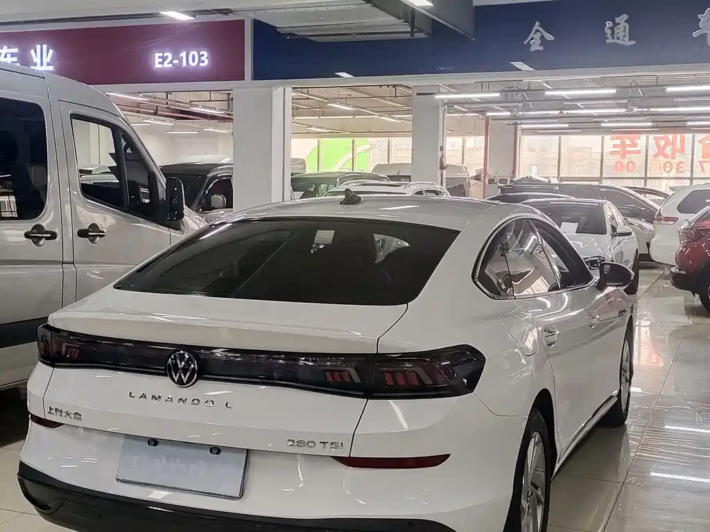 Volkswagen Lamando — миниатюра 8