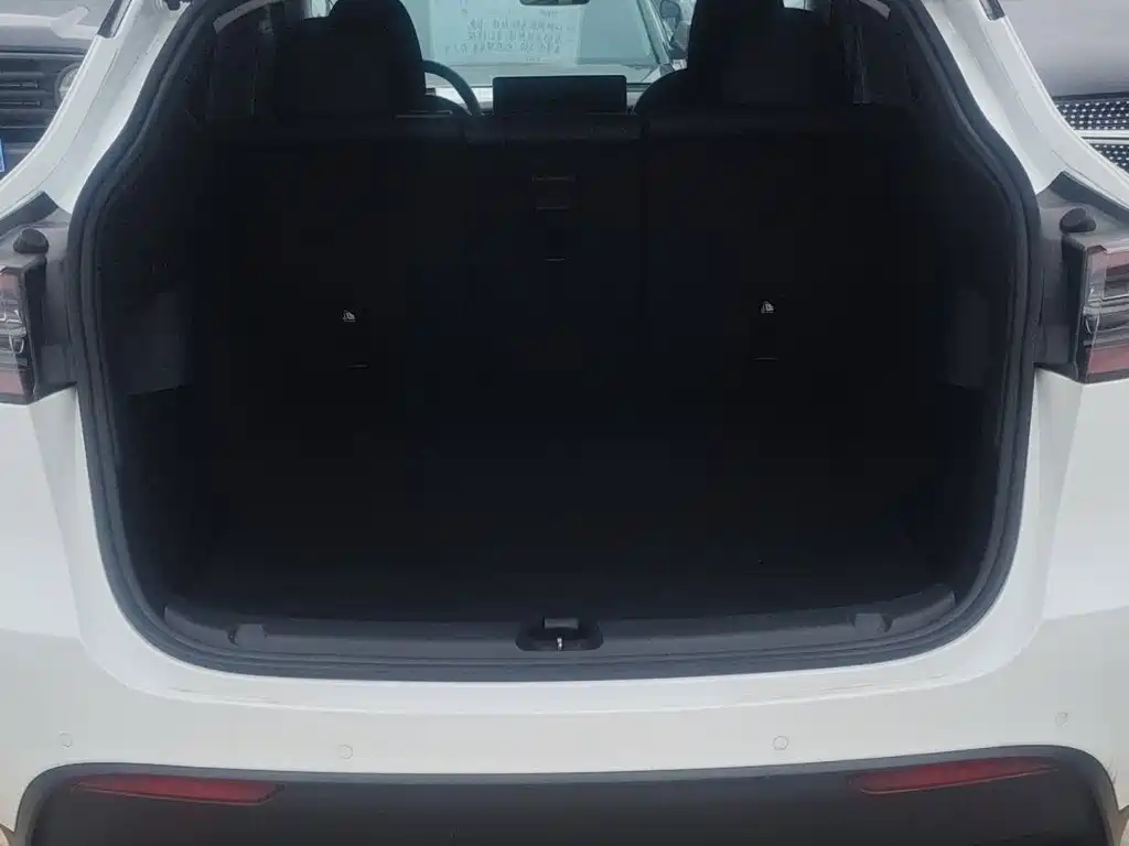 Tesla Model Y — миниатюра 16
