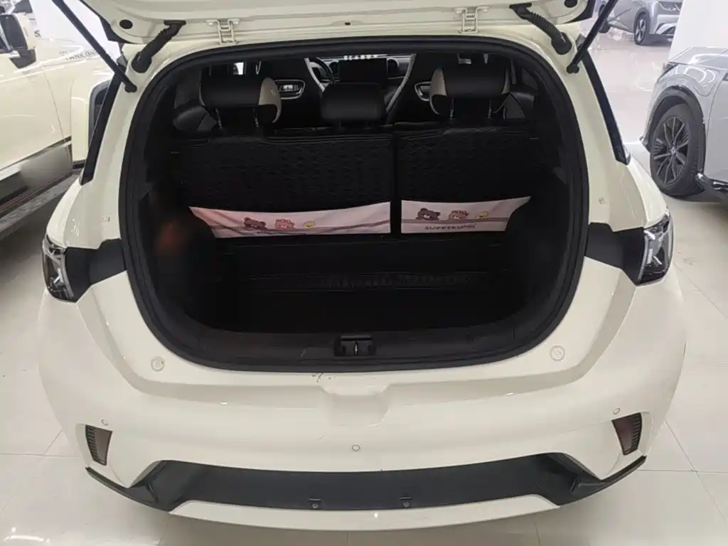 BYD Dolphin — миниатюра 19