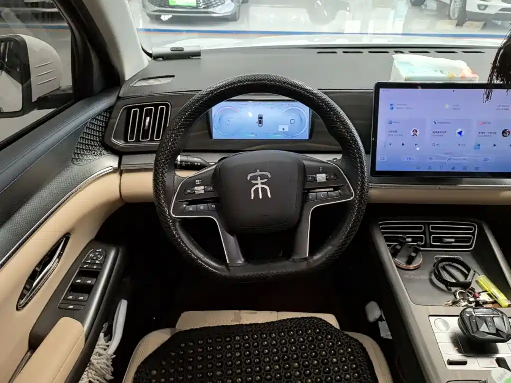 BYD Pro New Energy — миниатюра 11