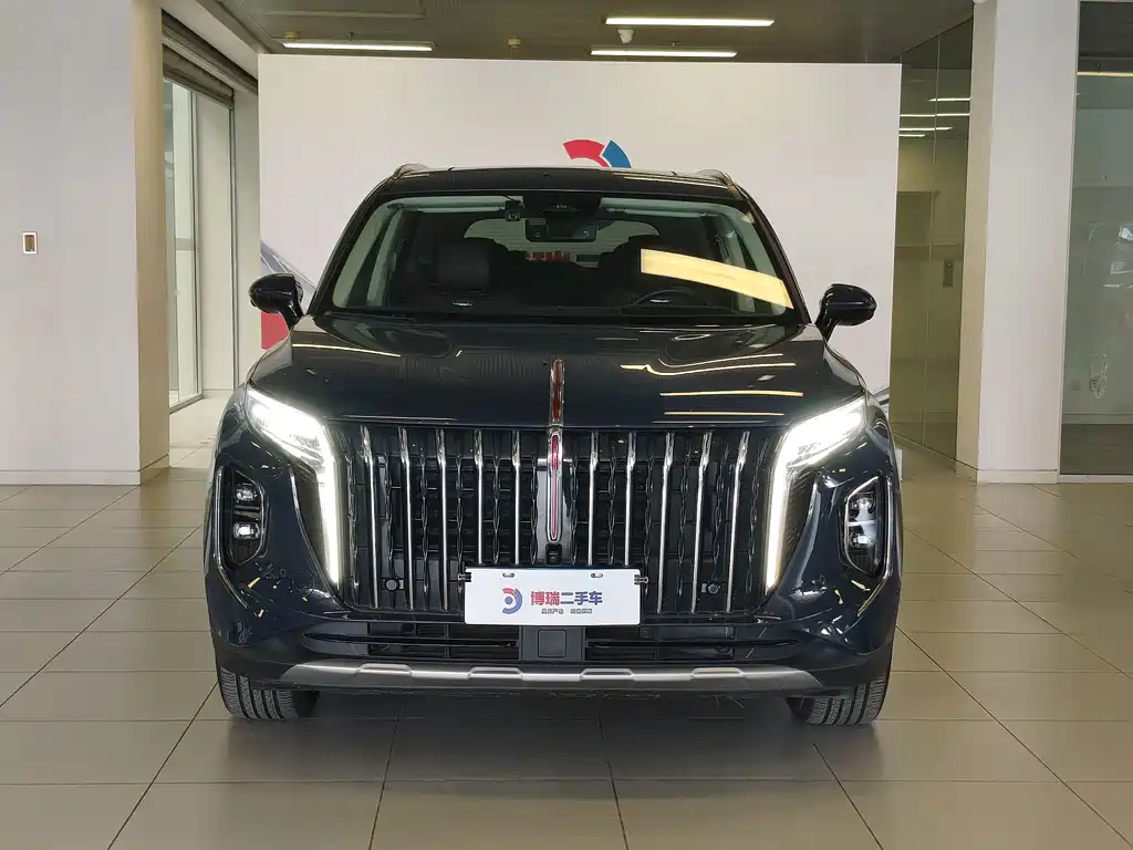Hongqi Hongqi HS7 — миниатюра 2
