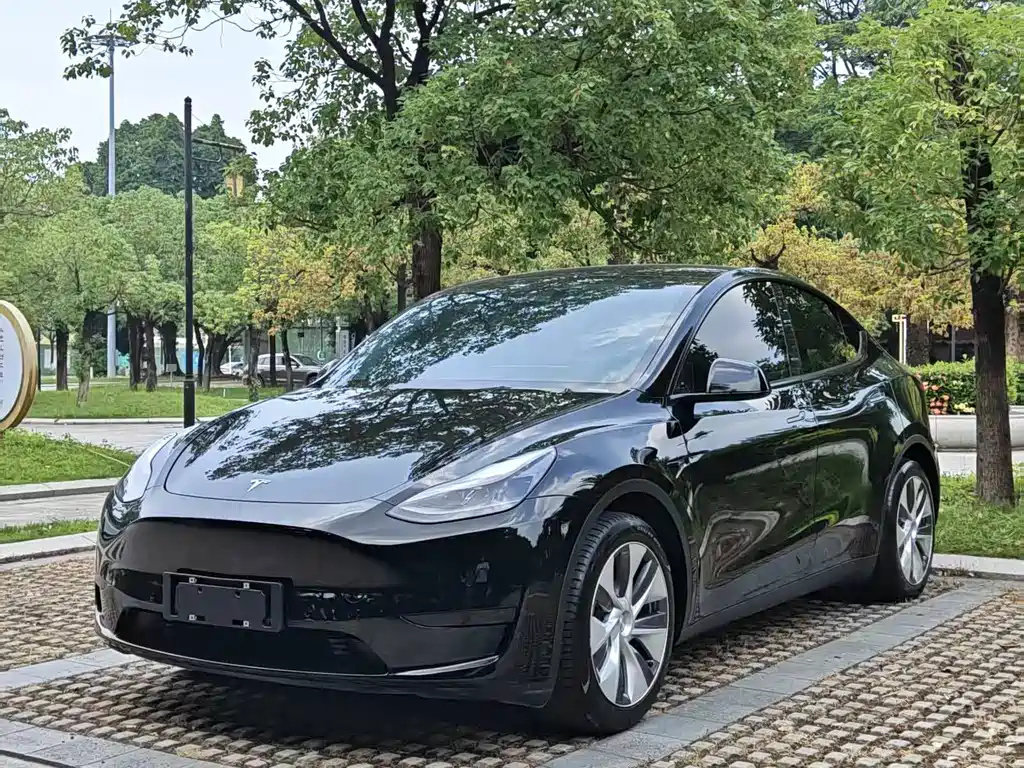 Tesla Model Y 2022 RWD Drive Dynamic Edition