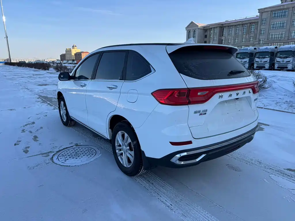 HAVAL M6