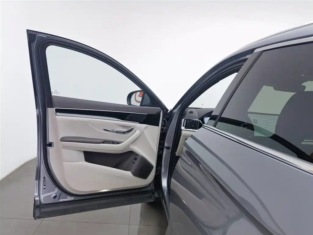 BYD SONGJIANG NEW ENERGY