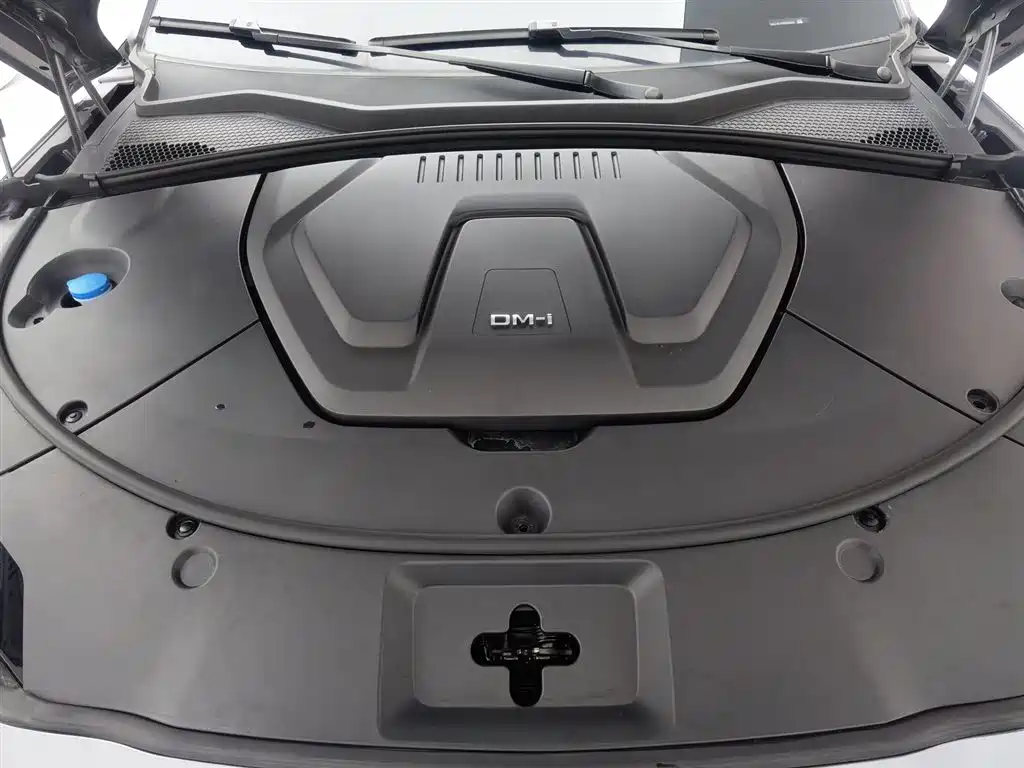 BYD SONGJIANG NEW ENERGY