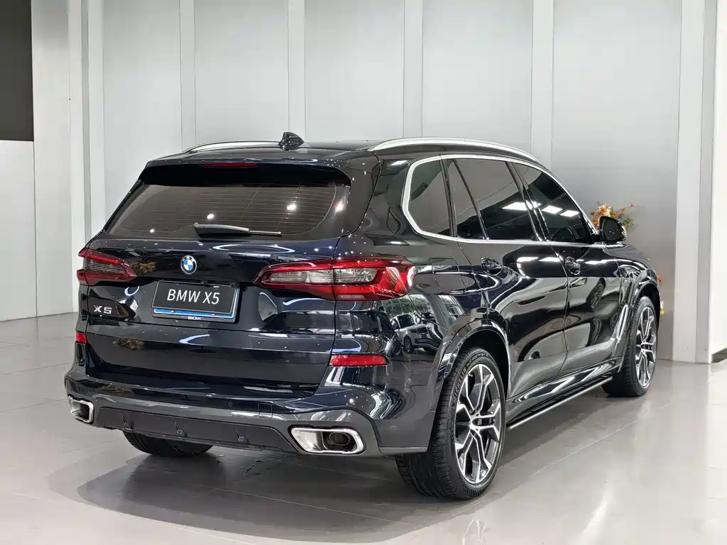 BMW X5 — миниатюра 3