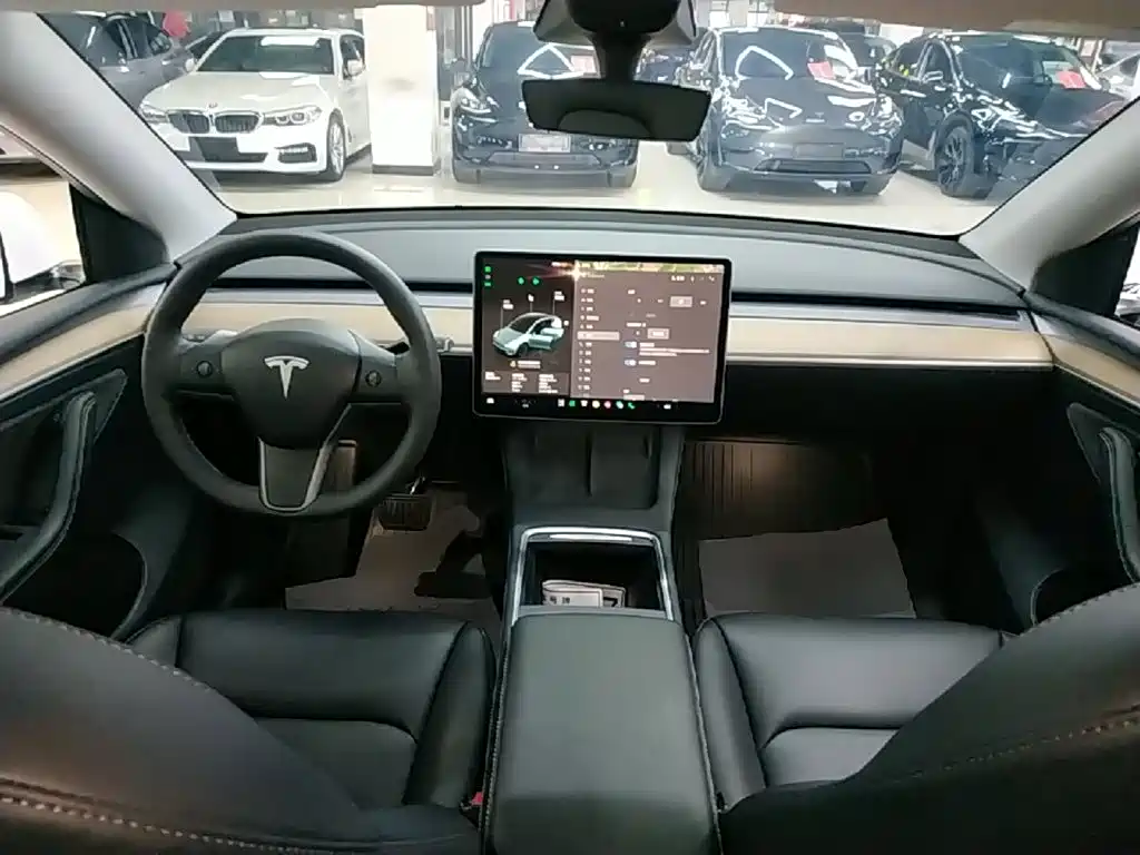 Tesla Model Y — миниатюра 10