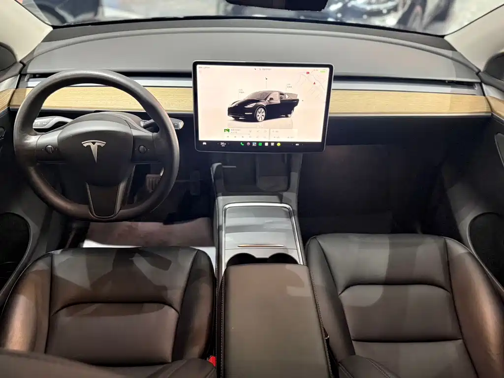 Tesla Model Y — миниатюра 9