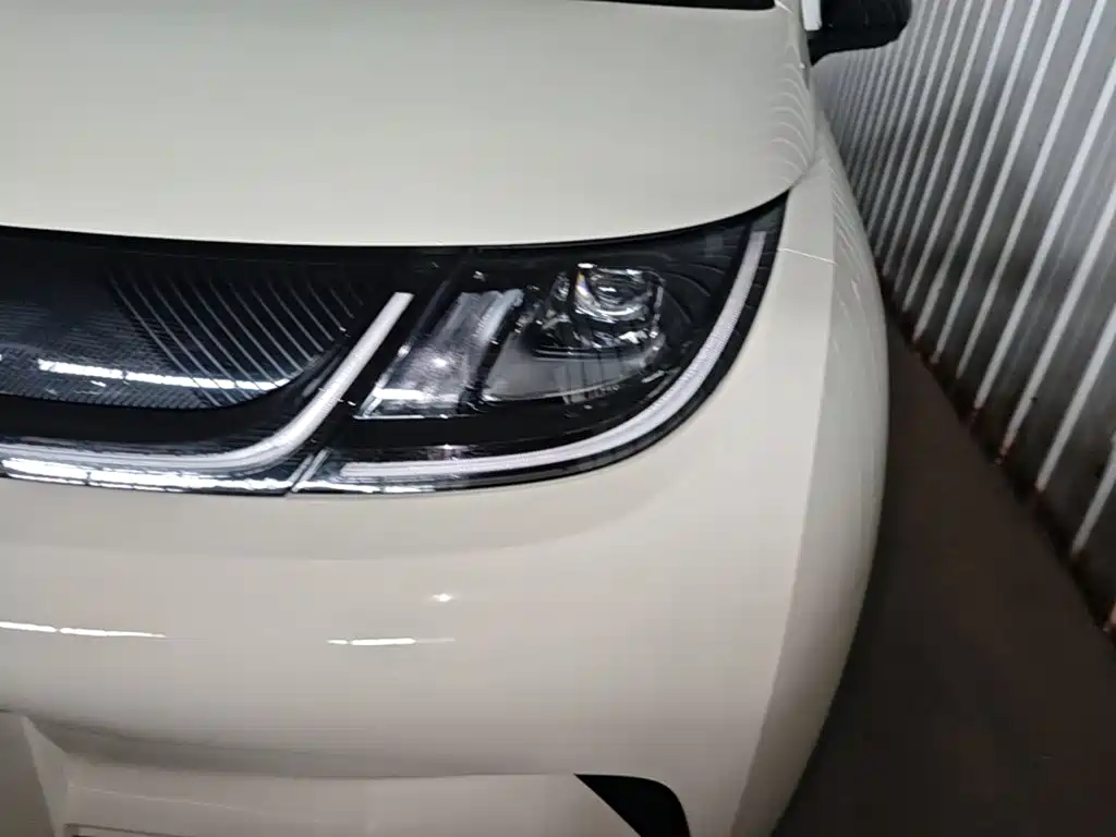 BYD Dolphin — миниатюра 24