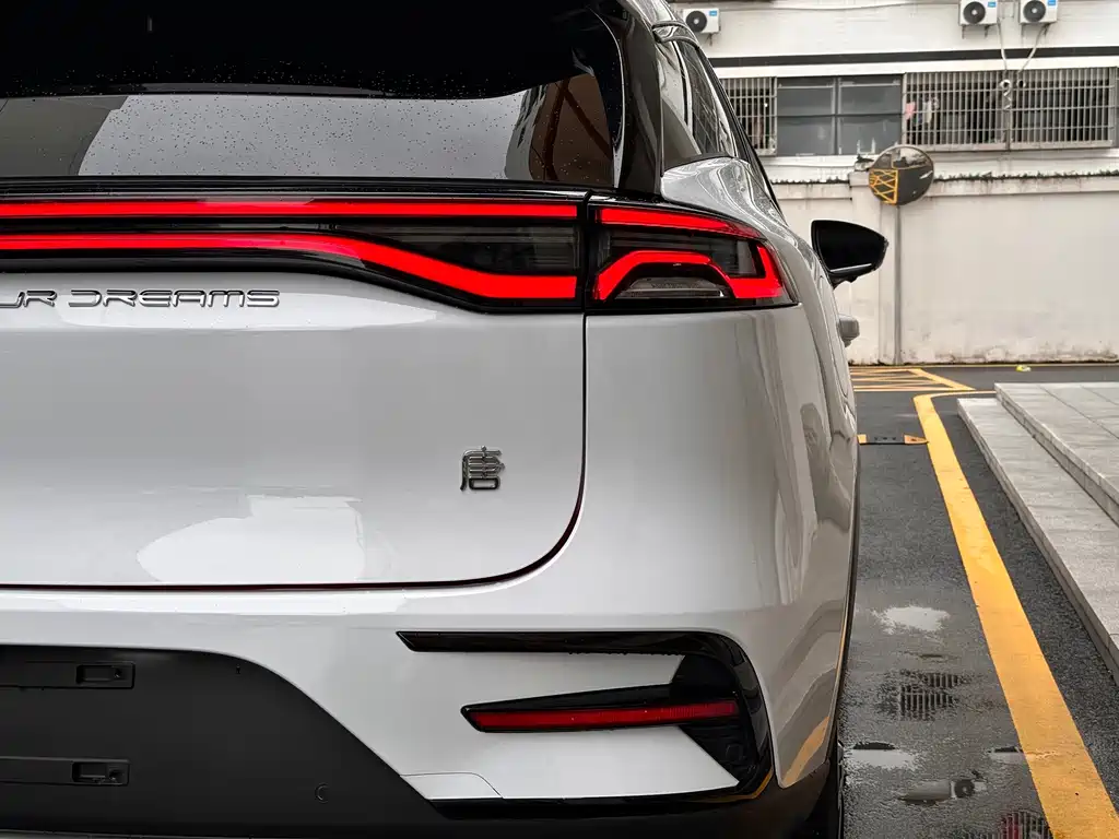 BYD Tang New Energy — миниатюра 33