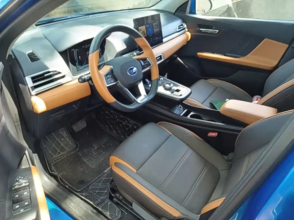 BYD e2 — миниатюра 16