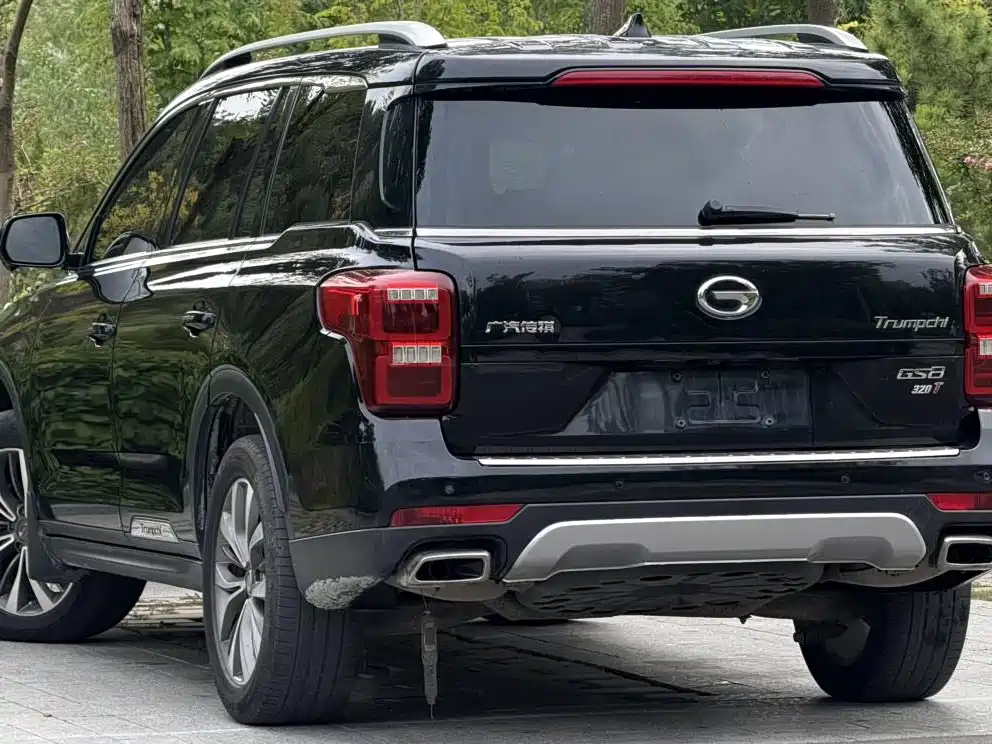 GAC Motor Trumpchi GS8 — миниатюра 7
