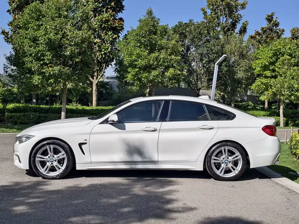 BMW 4 Series — миниатюра 4