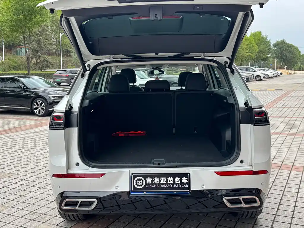 Volkswagen Tavendor — миниатюра 19