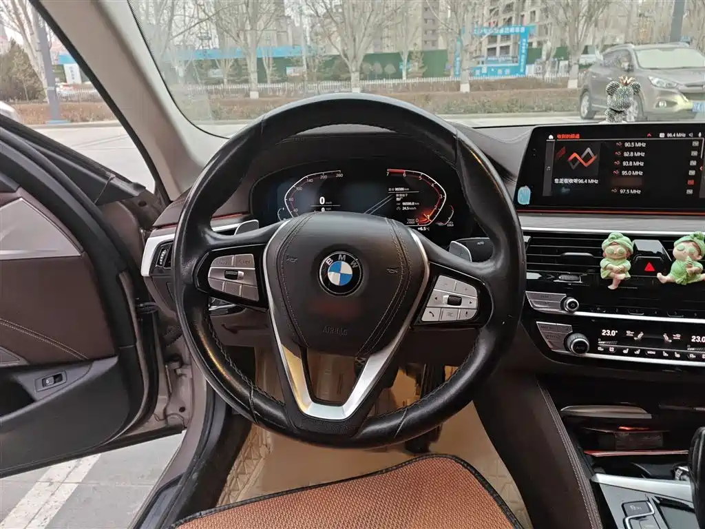 BMW 5 Series 5 2020 530Li Premium Luxury