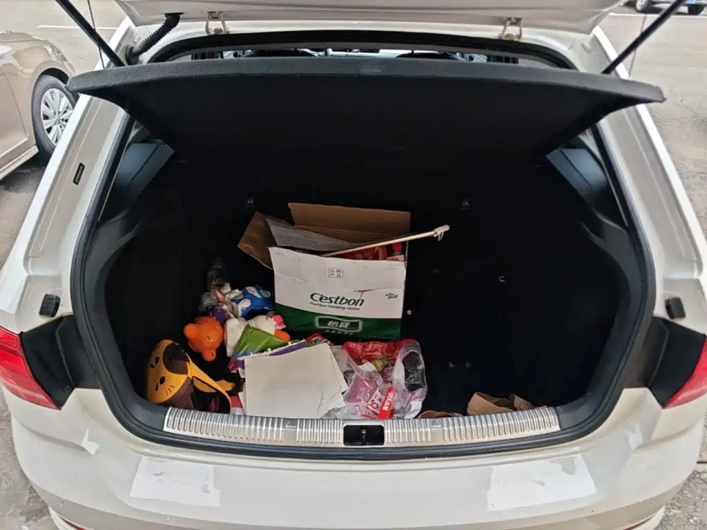 Volkswagen Santana — миниатюра 19