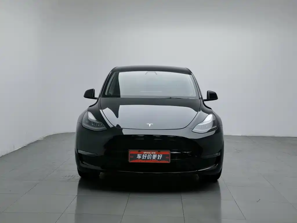 Tesla Model Y — миниатюра 3