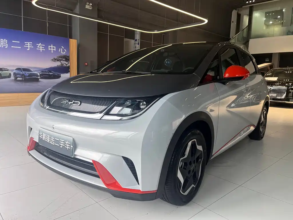 2021 BYD Dolphin - zdjęcie 1 z 15
