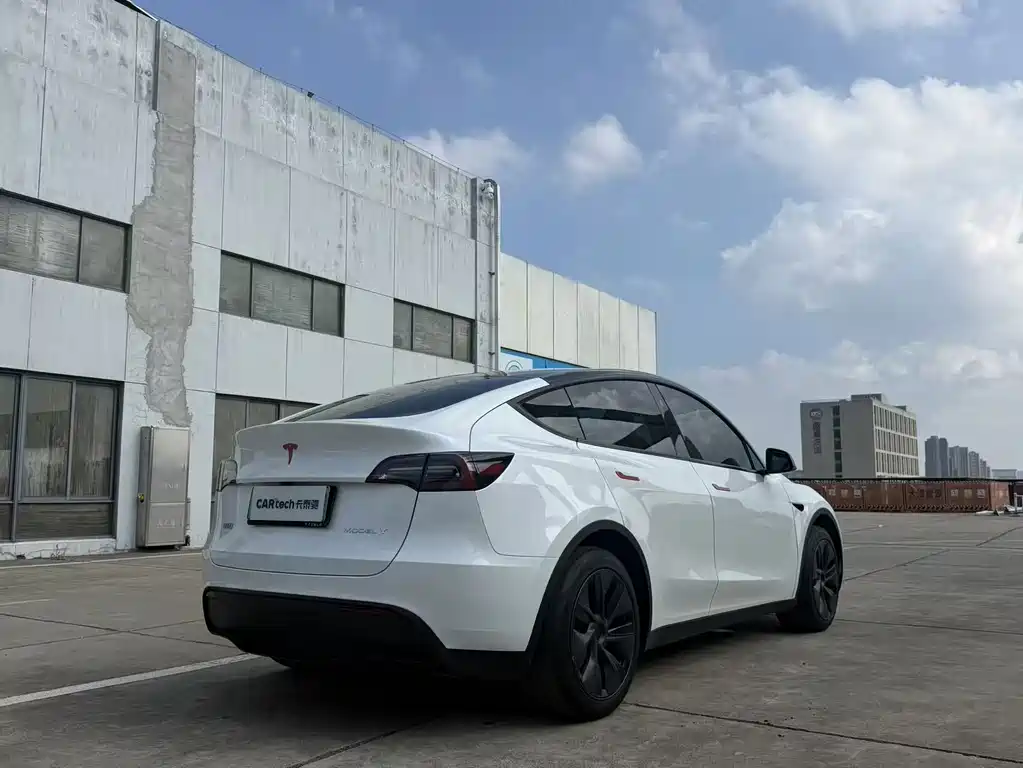 Tesla Model Y — миниатюра 9